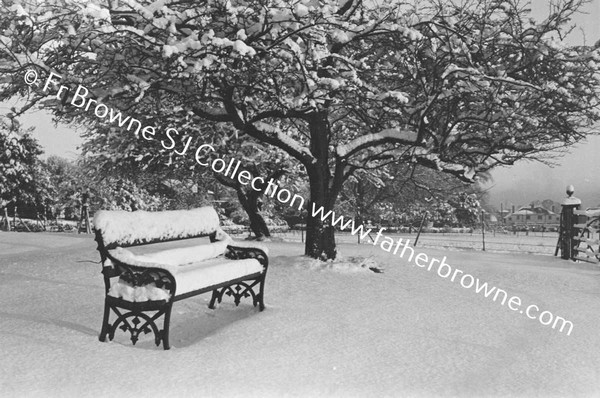 RATHFARNHAM CASTLE GROUNDS IN THE SNOW